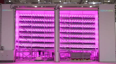 AeroFarms debuts AgX indoor vertical farm in Abu Dhabi - TrendRadars