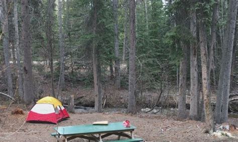 No more absentee campers? Yukon looks to change rules for claiming sites | CBC News