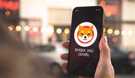 Shiba Inu Based NFT Marketplace Sees Massive Traffic Surge