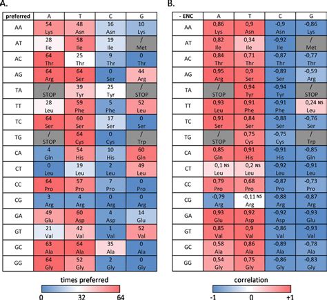 Codon usage bias in bivalves in mainly due to A/T-ending codons. (A ...