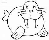 Walrus Coloring Pages For Kids sketch template