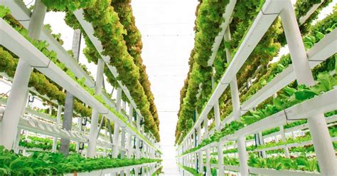 Vertical Farming for Supply Chain Efficiency - Logistics Viewpoints