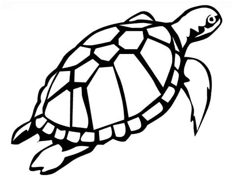 21+ Turtle Templates, Crafts & Colouring Pages