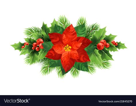 Red poinsettia flower christmas Royalty Free Vector Image