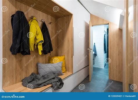 Entrance Hall of Modern House Stock Image - Image of room, brown: 133539421