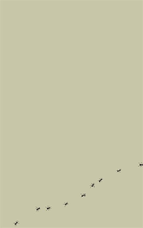 Download Ants Minimalist Ipad Wallpaper | Wallpapers.com