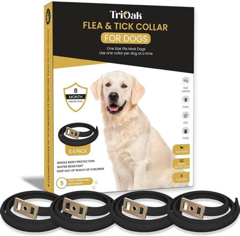 5 Best Tick Collars for Dogs in 2024