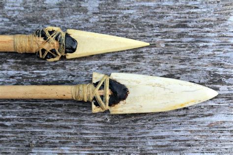 Two homemade Bone primitive arrowheads attached with pine pitch and sinew. Survival Food ...