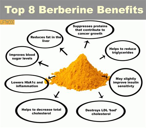 Berberine Health Benefits