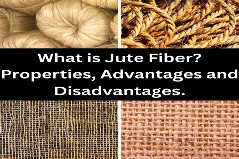 What is Jute Fiber? Properties, Advantages and Disadvantages.