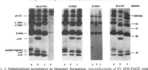 Figure 1 from Structural requirements for thioester bond formation in human complement component ...