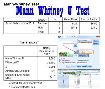 How to Mann Whitney U Test in SPSS Completed Successfully - SPSS Tests