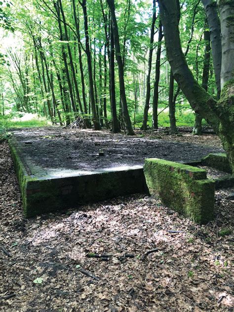 Preserving a POW camp in Yorkshire - Current Archaeology