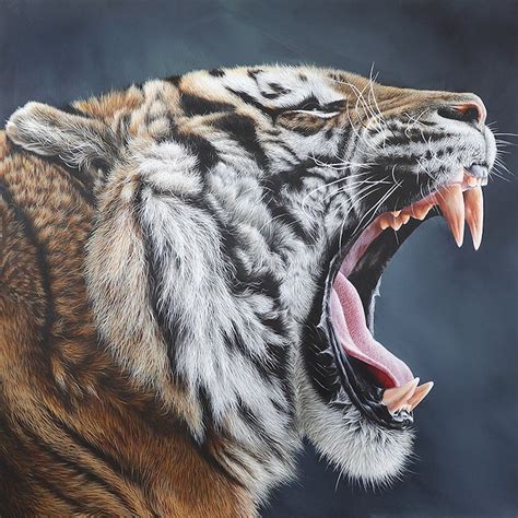 Hyperrealistic Oil Paintings Capture the Wild Nature of the Animal Kingdom