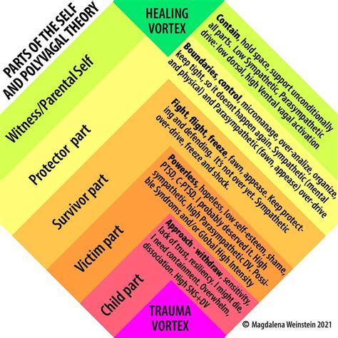 Polyvagal Chart By Magdelena Weinstein – TRE® Scotland