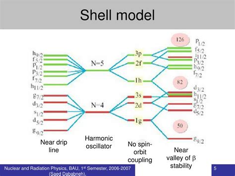 PPT - Shell model PowerPoint Presentation, free download - ID:5635329