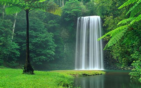 Picturesque waterfall between green trees wallpapers and images ...