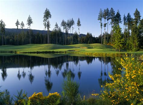 Washington Golf Courses - Gold Mountain Golf Club, Bremerton, WA