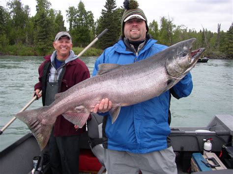 Alaska Salmon Fishing Charter; Kenai River; Day Fishing Trips, Alaska