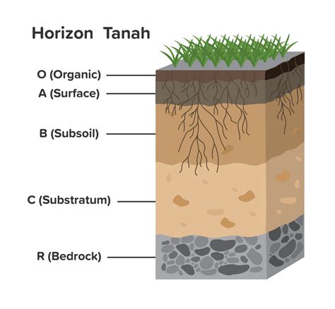 Struktur Lapisan Tanah