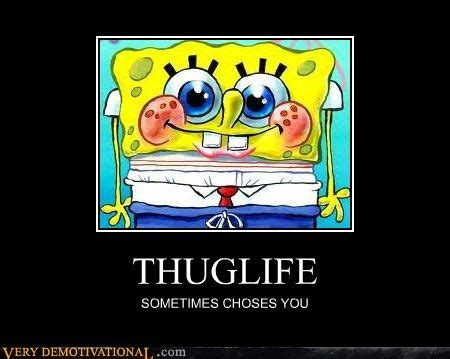 Memes Land 2014 | Thug life, Spongebob, Funny posters