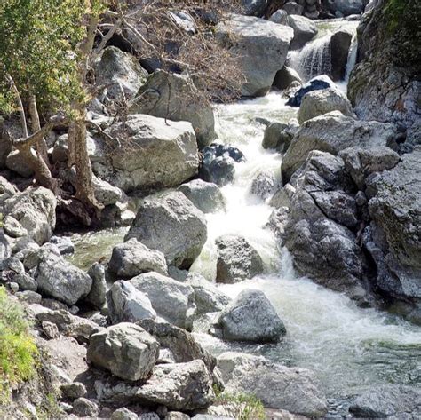 Sunol Regional Wilderness - Lonely Hiker