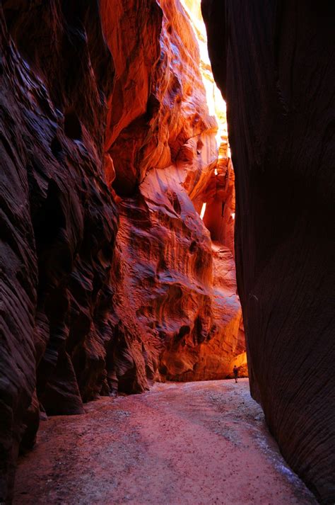 Buckskin Gulch via Wire Pass - Your Hike Guide | Slot canyon hiking, Arizona travel, Utah travel