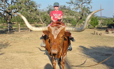 Things to do at our Texas Guest Ranch | Dixie Dude Ranch