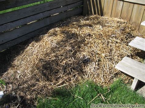 Cat Litter Composting-04-30-10 - Red Worm Composting