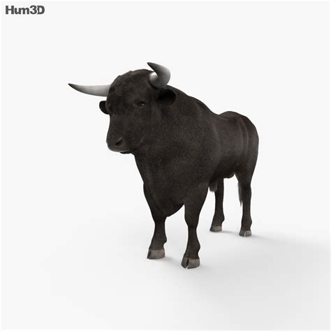 Bull HD 3D model - Animals on Hum3D