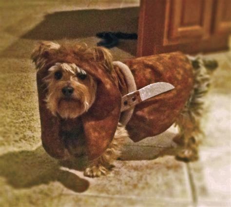 Ewok dog costume Made to order only | Etsy | Ewok dog costume, Dog ...