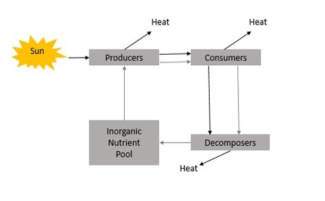 Environmental Studies - Quick Guide