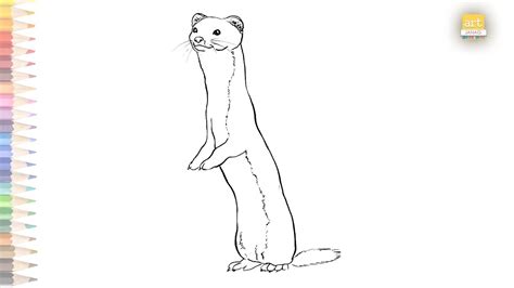 Weasel Drawing