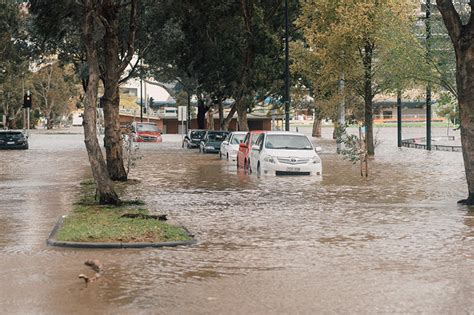 Melbourne Water to investigate Flemington racecourse flood wall as ...