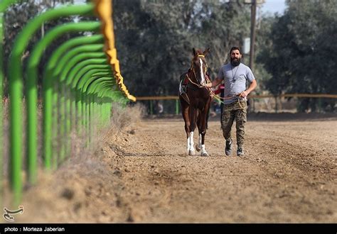 Iranian Horse Racing Competition in Ahvaz - Photo news - Tasnim News Agency