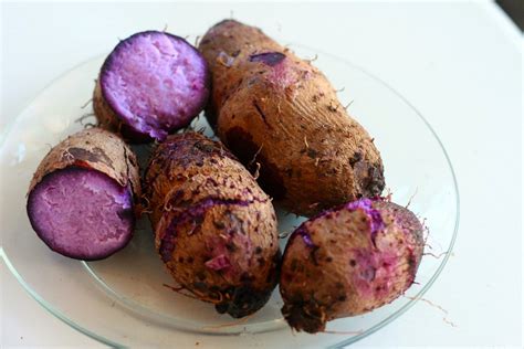 Sulcata Grove: Ube - Purple Yams