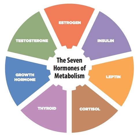 The seven hormones of metabolism - reset all 7, in 3-day increments ...