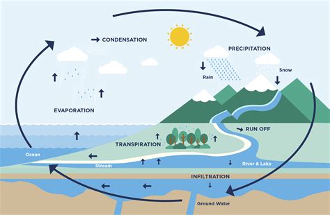 Desalination and the water cycle – Sydney Desalination Plant