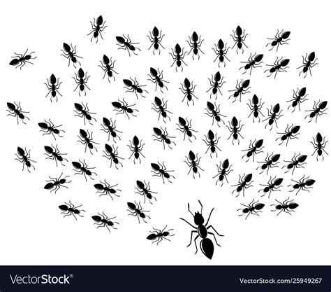 Ant logo icon design Royalty Free Vector Image