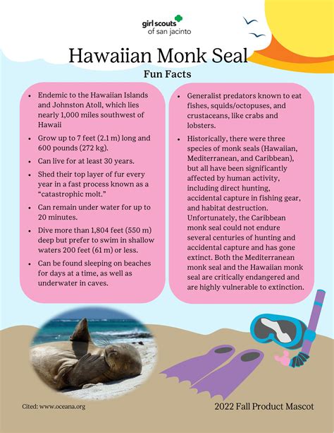 Facts about the Monk Seal by GSSJC - Issuu