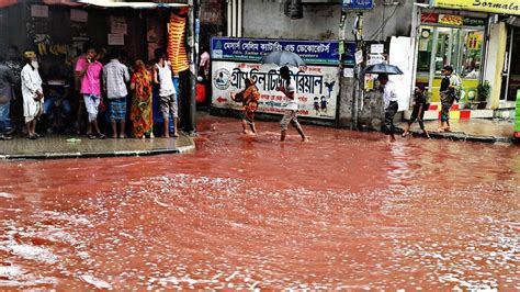 Dhaka flooding: Why are there 'rivers of blood' at Eid? - BBC News