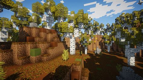 Birch Forest Minecraft Map