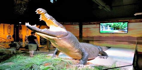 www.fromatravellersdesk.com: The Alligator Farm & Zoological Park ~ St. Augustine