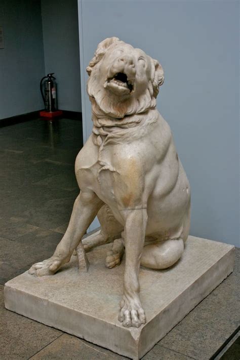 Extinct Dog Breeds From the Last Centuries. - HubPages