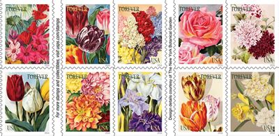 Beautiful flowers decorate Forever stamps