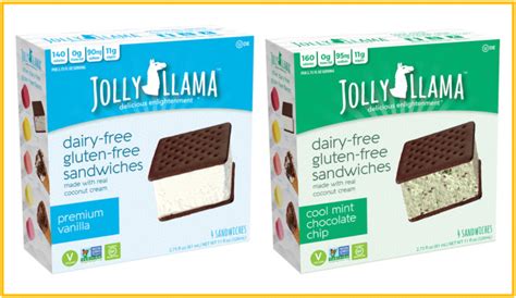 Gluten Free Ice Cream Sandwiches Brands (& Where to Buy)