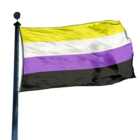 Non Binary Pride Flag - Etsy