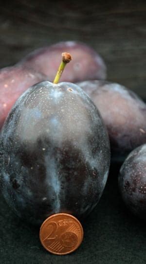 purple fruits free image | Peakpx