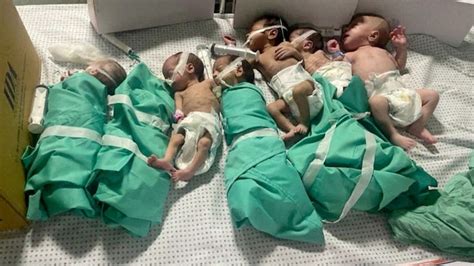 Doctors move premature babies at Gaza’s al-Shifa Hospital | Gaza | Al Jazeera