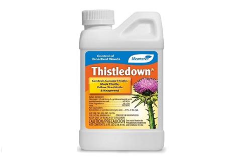 5 Best Weed Killer & Herbicide For Thistle Reviews 2021